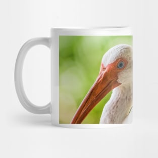 More American white ibis Mug